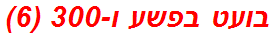 בועט בפשע ו-300 (6)