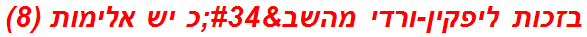 בזכות ליפקין-ורדי מהשב"כ יש אלימות (8)