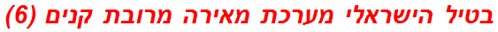 בטיל הישראלי מערכת מאירה מרובת קנים (6)