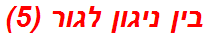 בין ניגון לגור (5)