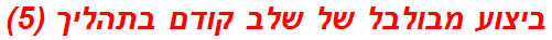 ביצוע מבולבל של שלב קודם בתהליך (5)