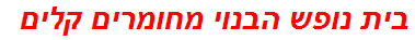 בית נופש הבנוי מחומרים קלים