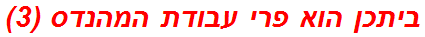 ביתכן הוא פרי עבודת המהנדס (3)