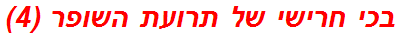 בכי חרישי של תרועת השופר (4)