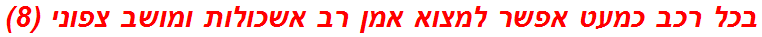 בכל רכב כמעט אפשר למצוא אמן רב אשכולות ומושב צפוני (8)