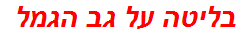 בליטה על גב הגמל