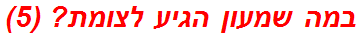 במה שמעון הגיע לצומת? (5)