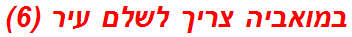 במואביה צריך לשלם עיר (6)