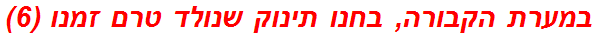 במערת הקבורה, בחנו תינוק שנולד טרם זמנו (6)