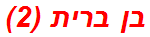 בן ברית (2)