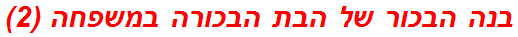 בנה הבכור של הבת הבכורה במשפחה (2)