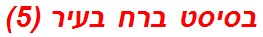 בסיסט ברח בעיר (5)