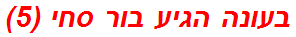 בעונה הגיע בור סחי (5)