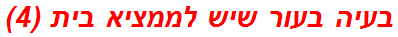 בעיה בעור שיש לממציא בית (4)