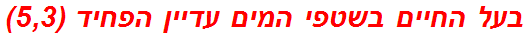 בעל החיים בשטפי המים עדיין הפחיד (5,3)