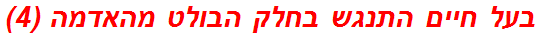 בעל חיים התנגש בחלק הבולט מהאדמה (4)