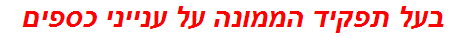 בעל תפקיד הממונה על ענייני כספים