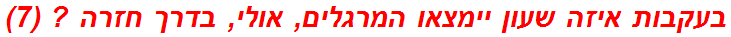 בעקבות איזה שעון יימצאו המרגלים, אולי, בדרך חזרה ? (7)