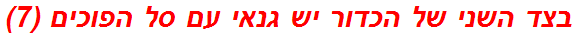 בצד השני של הכדור יש גנאי עם סל הפוכים (7)