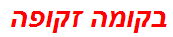 בקומה זקופה