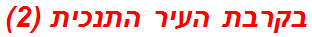 בקרבת העיר התנכית (2)