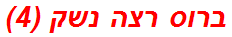 ברוס רצה נשק (4)