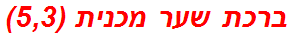 ברכת שער מכנית (5,3)