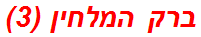 ברק המלחין (3)