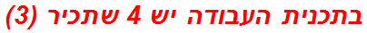 בתכנית העבודה יש 4 שתכיר (3)