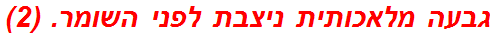 גבעה מלאכותית ניצבת לפני השומר. (2)