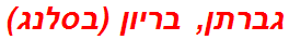 גברתן, בריון (בסלנג)