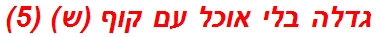 גדלה בלי אוכל עם קוף (ש) (5)