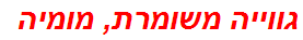 גווייה משומרת, מומיה