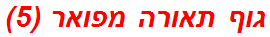 גוף תאורה מפואר (5)