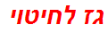 גז לחיטוי