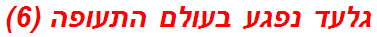 גלעד נפגע בעולם התעופה (6)