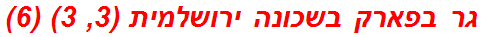 גר בפארק בשכונה ירושלמית (3, 3) (6)