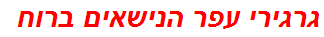 גרגירי עפר הנישאים ברוח