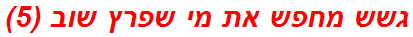 גשש מחפש את מי שפרץ שוב (5)