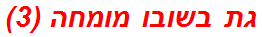 גת בשובו מומחה (3)