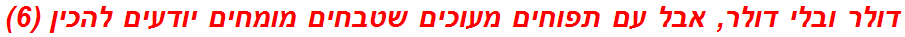 דולר ובלי דולר, אבל עם תפוחים מעוכים שטבחים מומחים יודעים להכין (6)