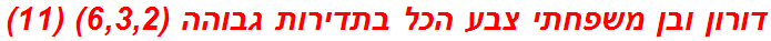 דורון ובן משפחתי צבע הכל בתדירות גבוהה (6,3,2) (11)