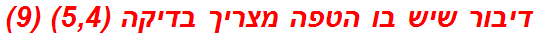 דיבור שיש בו הטפה מצריך בדיקה (5,4) (9)