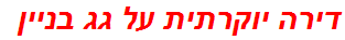 דירה יוקרתית על גג בניין