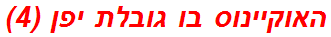 האוקיינוס בו גובלת יפן (4)