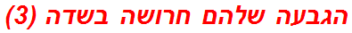 הגבעה שלהם חרושה בשדה (3)