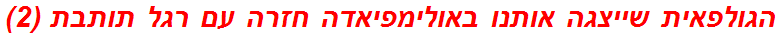 הגולפאית שייצגה אותנו באולימפיאדה חזרה עם רגל תותבת (2)