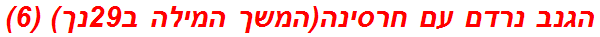 הגנב נרדם עם חרסינה(המשך המילה ב29נך) (6)