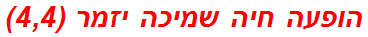 הופעה חיה שמיכה יזמר (4,4)