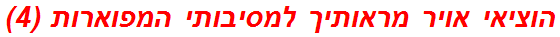 הוציאי אויר מראותיך למסיבותי המפוארות (4)